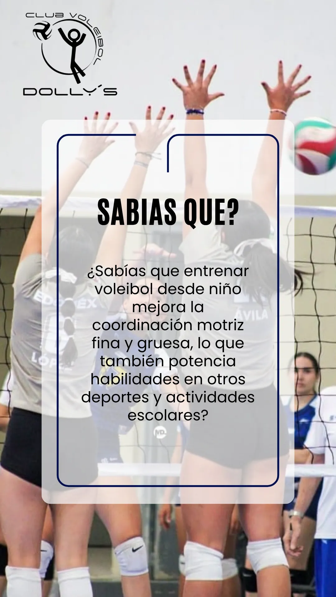 Diseño 26