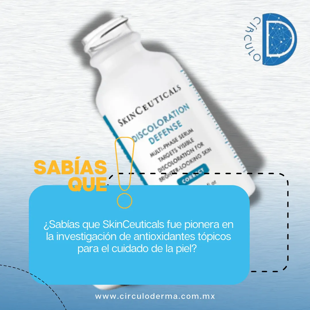 Diseño 133