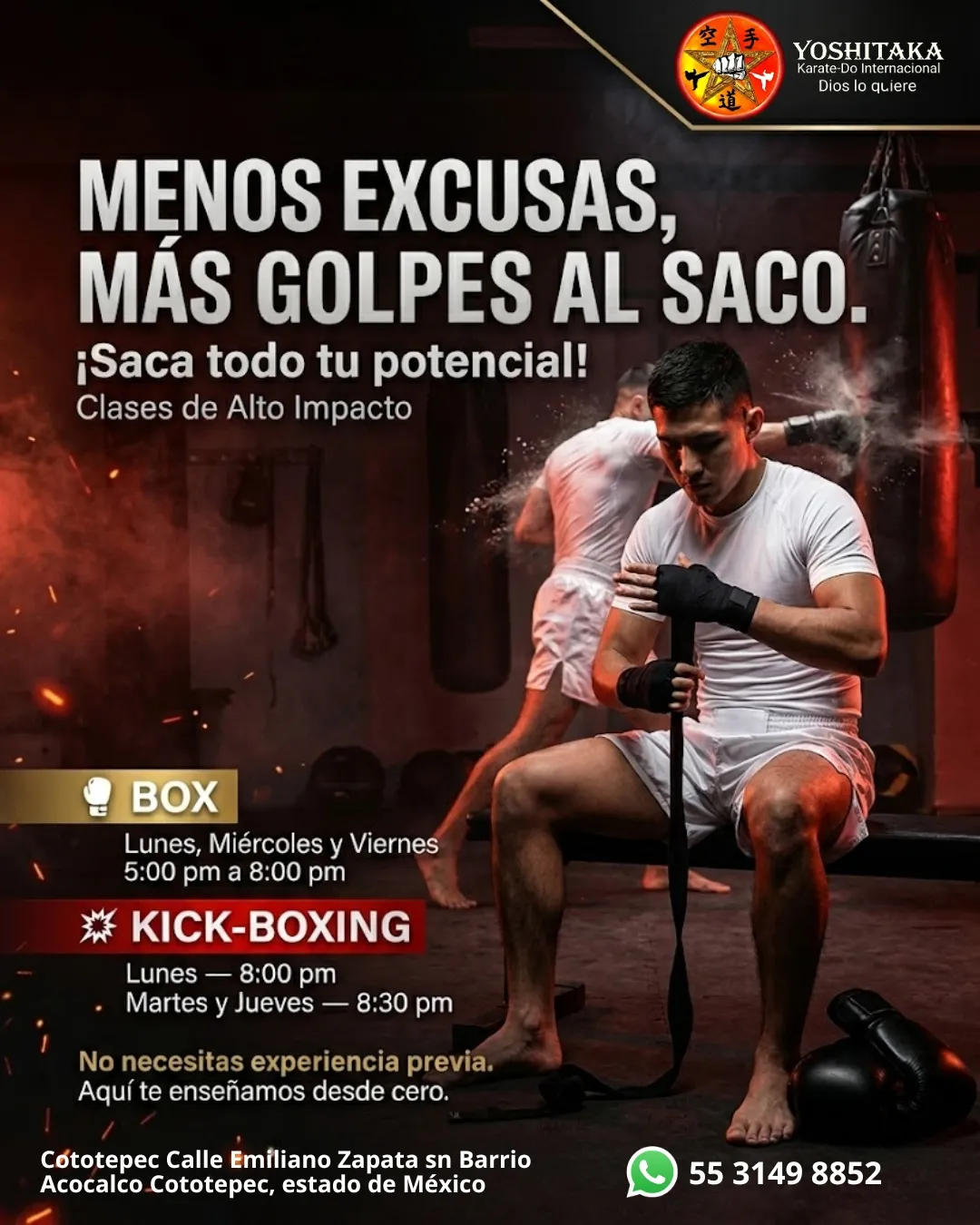 Diseño 7