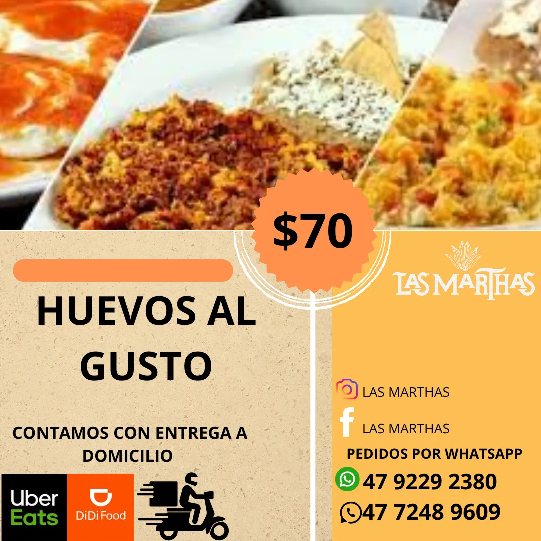 Diseño 133