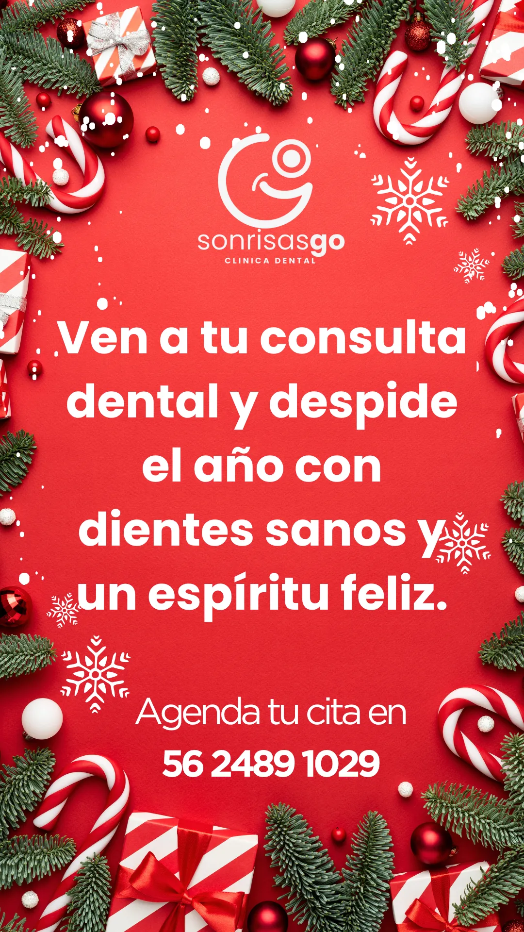 Diseño 48