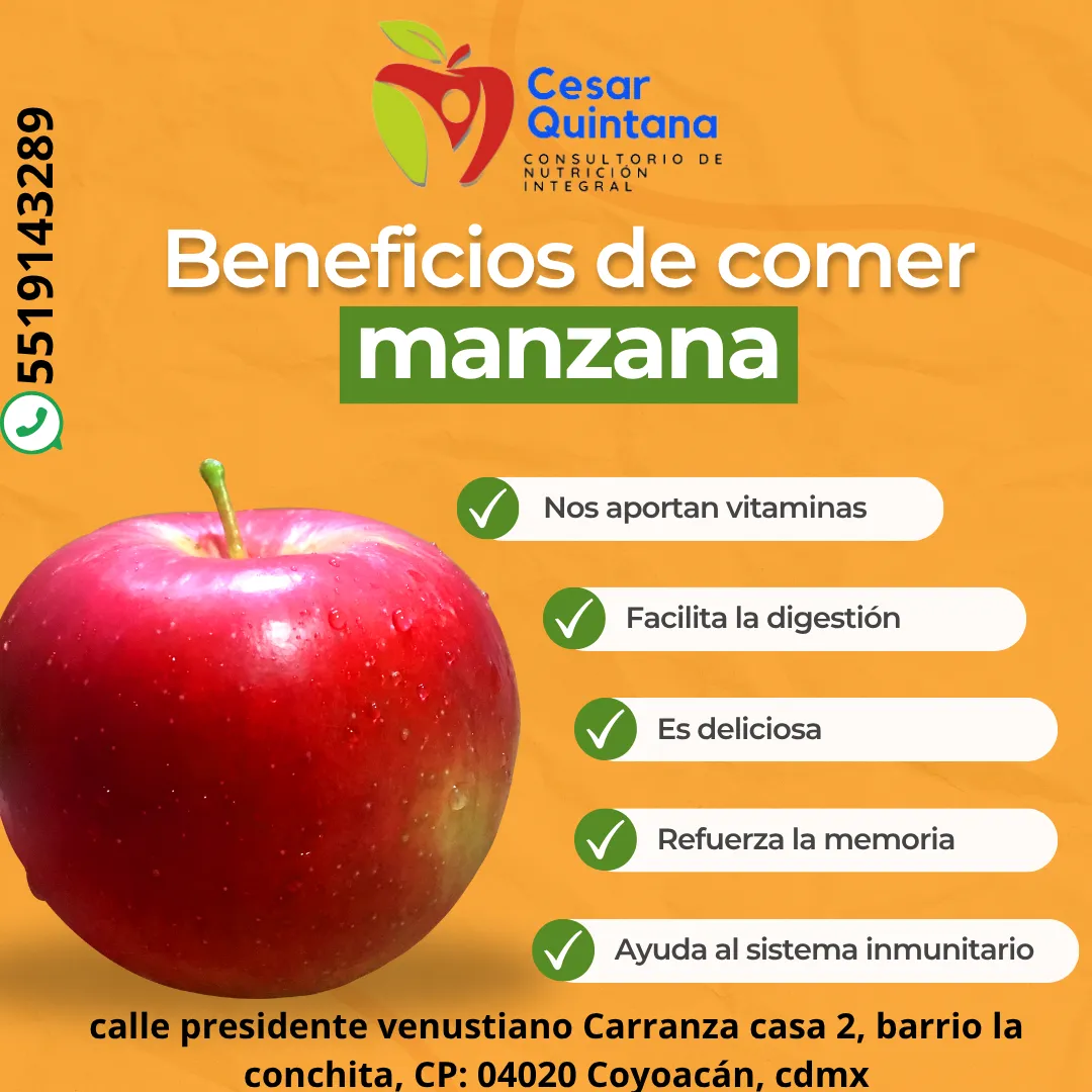 Diseño 42