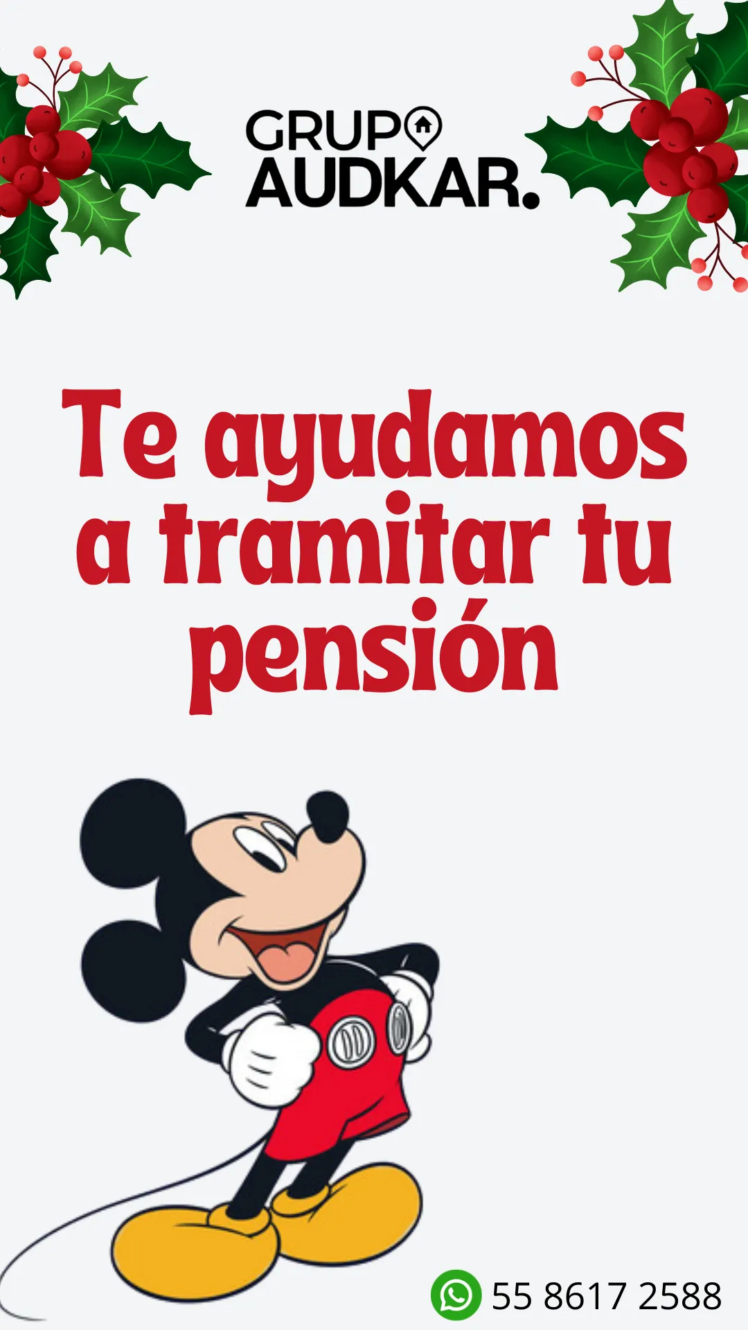 Diseño 16