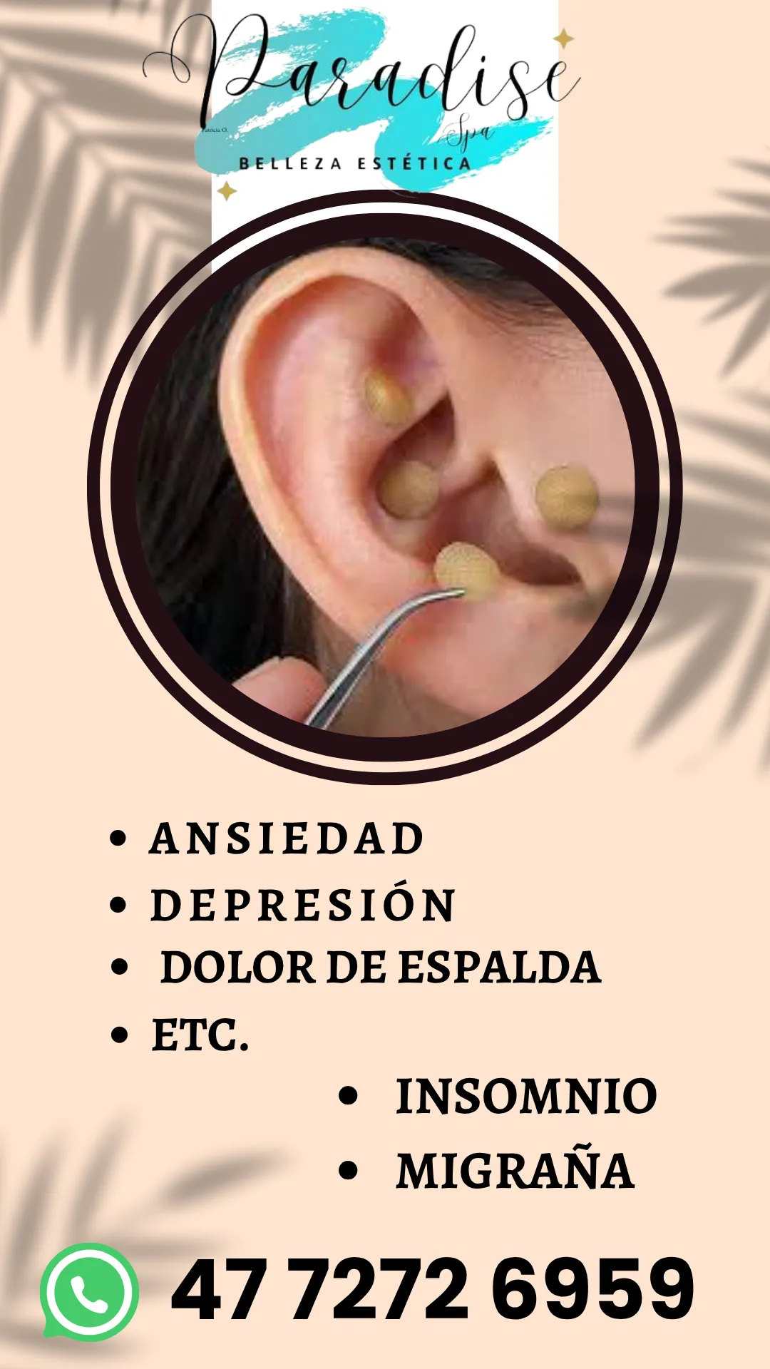 Diseño 63
