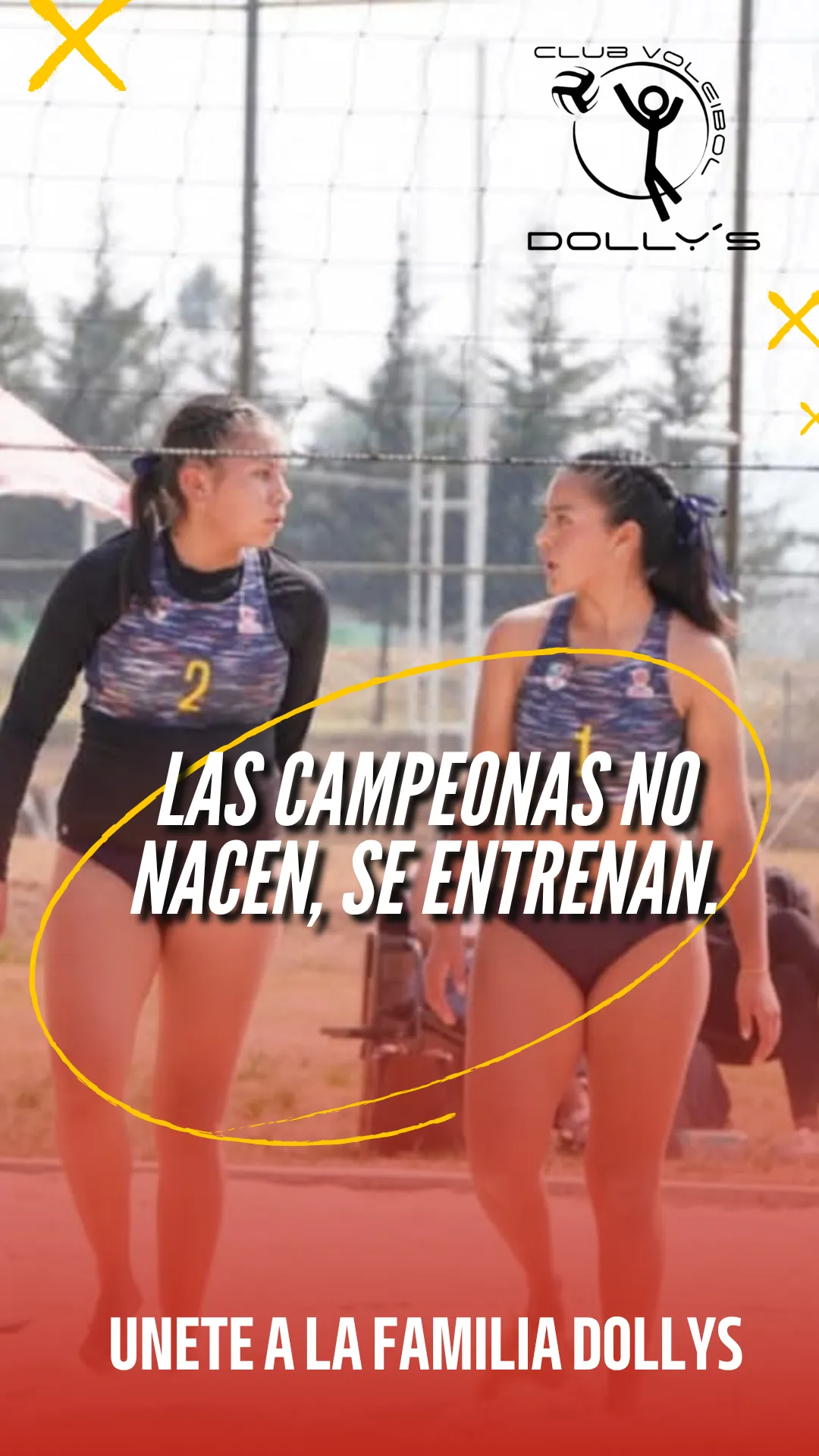 Diseño 8