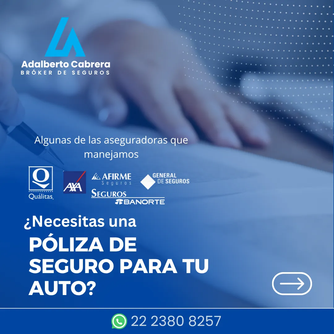 Diseño 14
