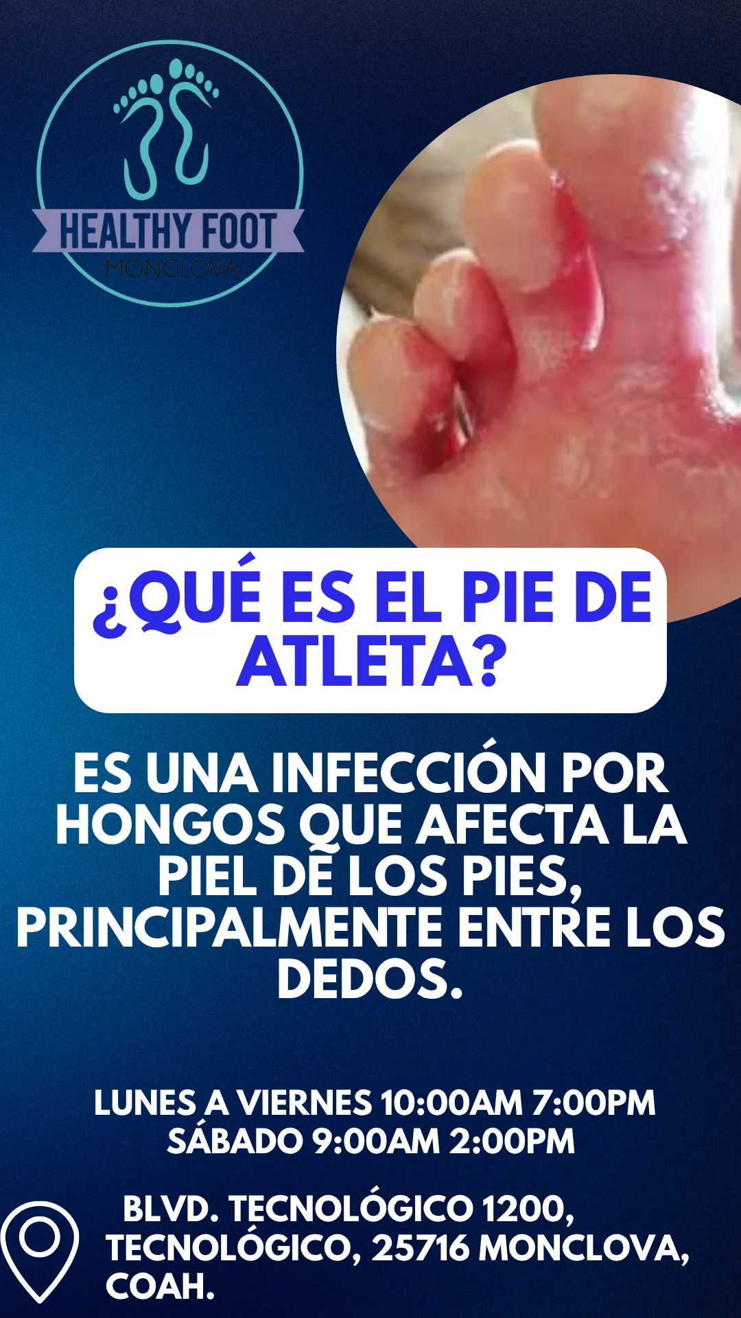 Diseño 133