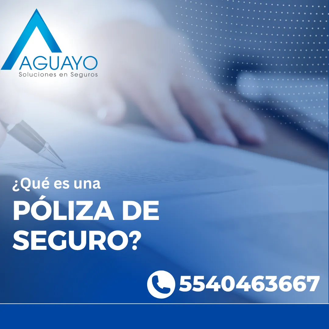 Diseño 6