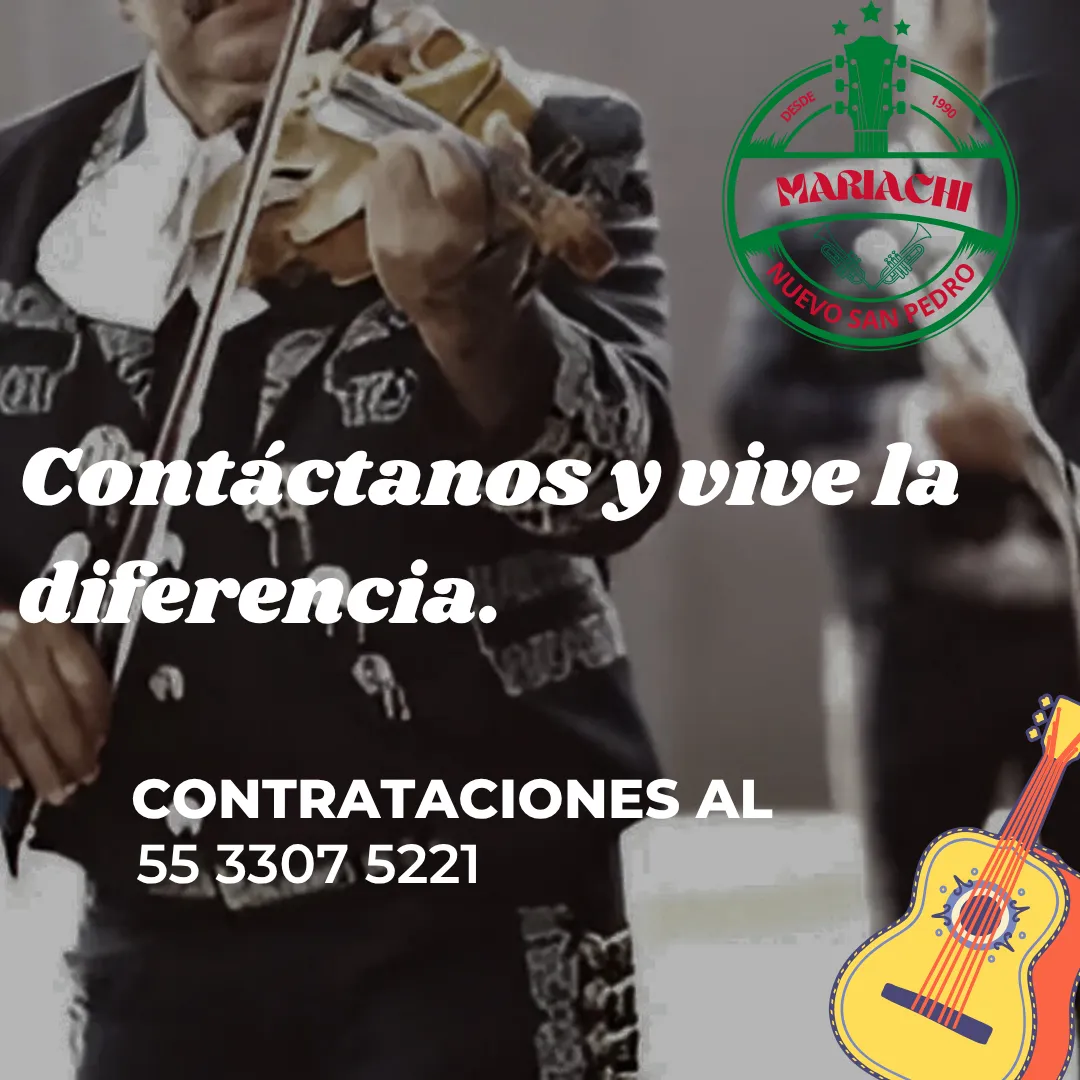 Diseño 41