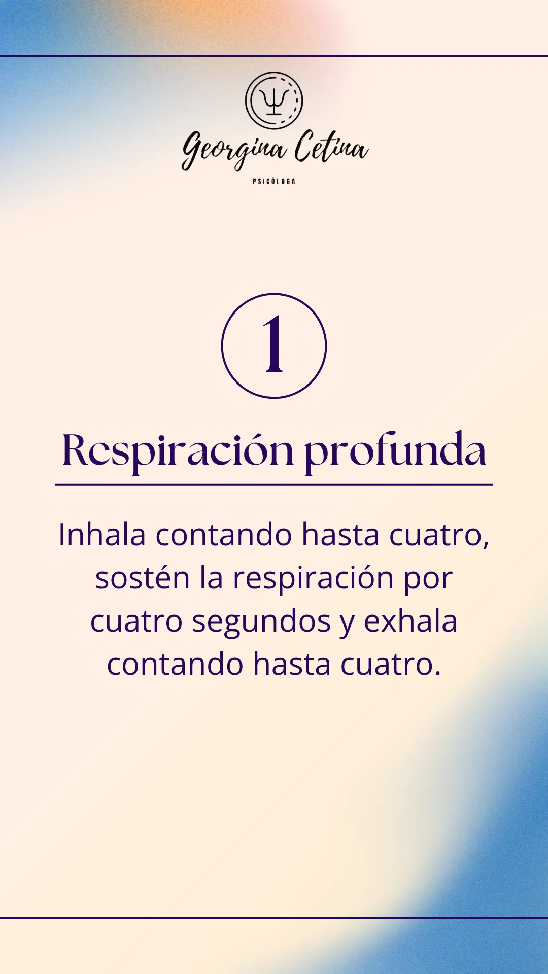 Diseño 66
