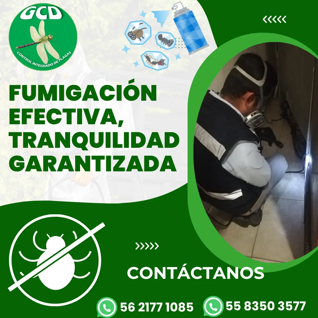Diseño 59