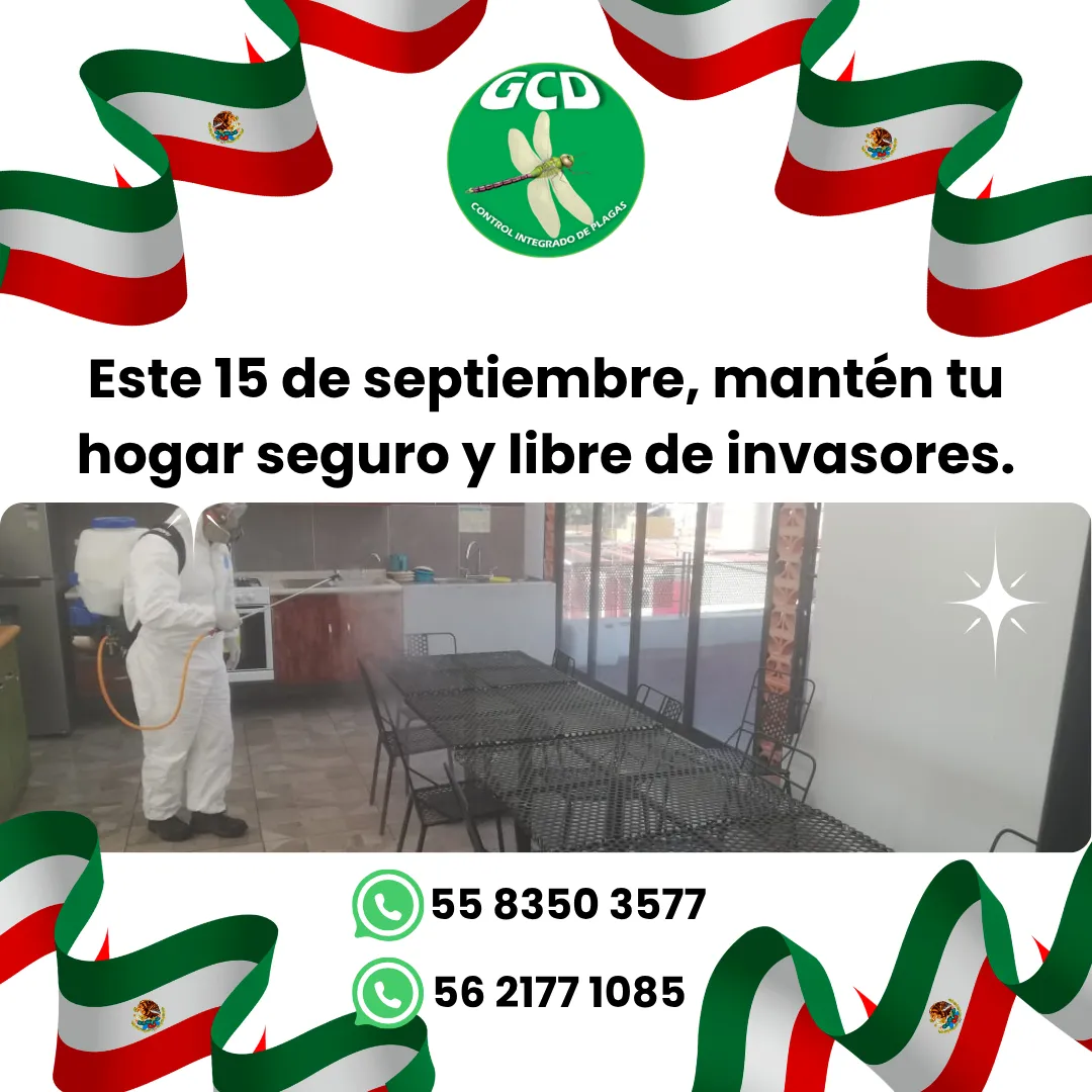 Diseño 82