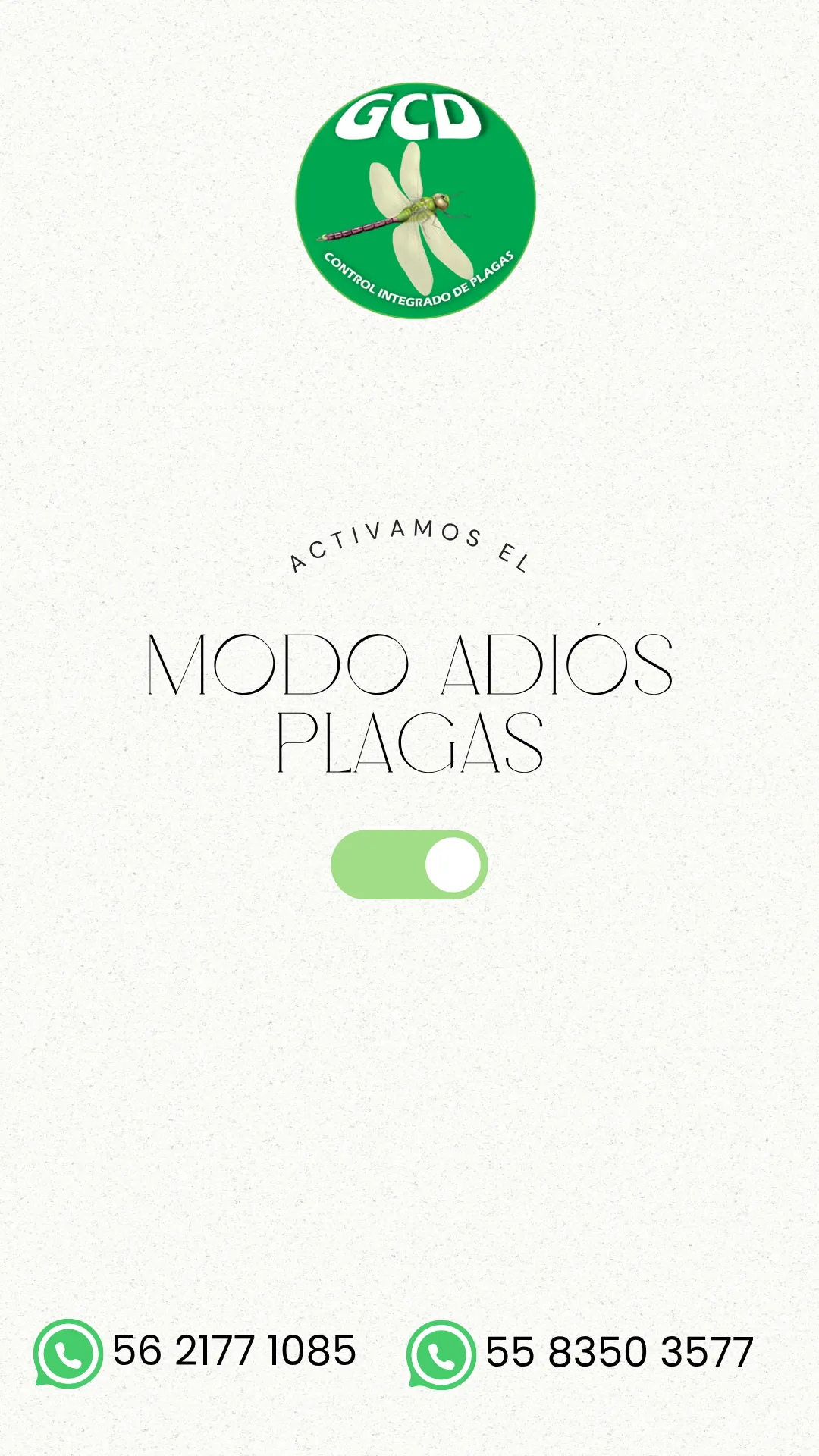 Diseño 6