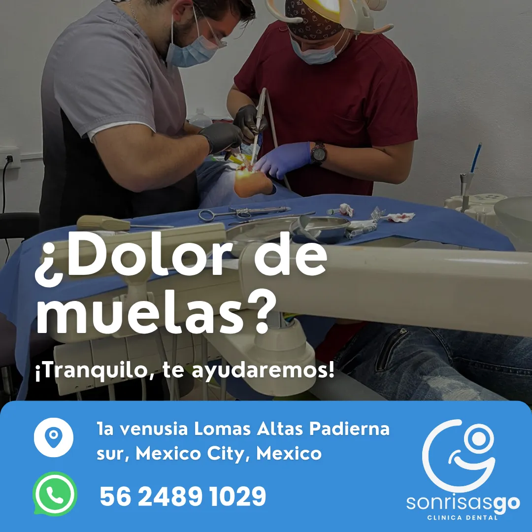 Diseño 11