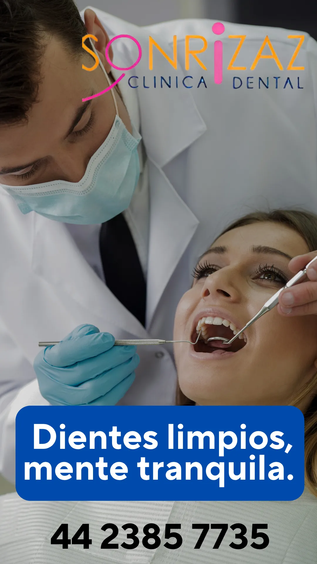 Diseño 17