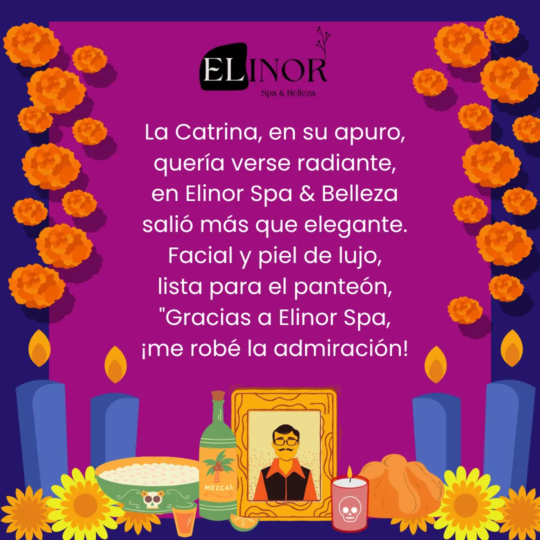 Diseño 16
