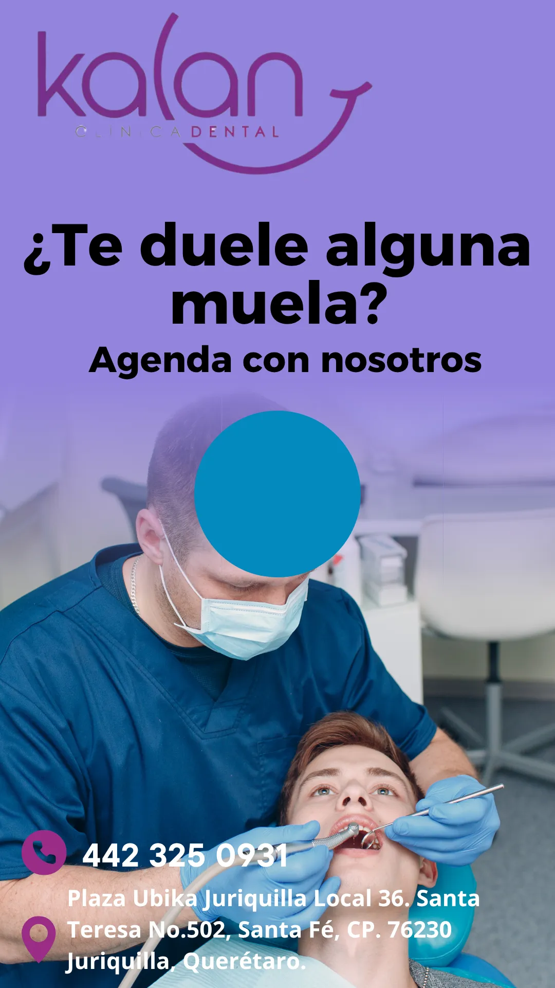 Diseño 66
