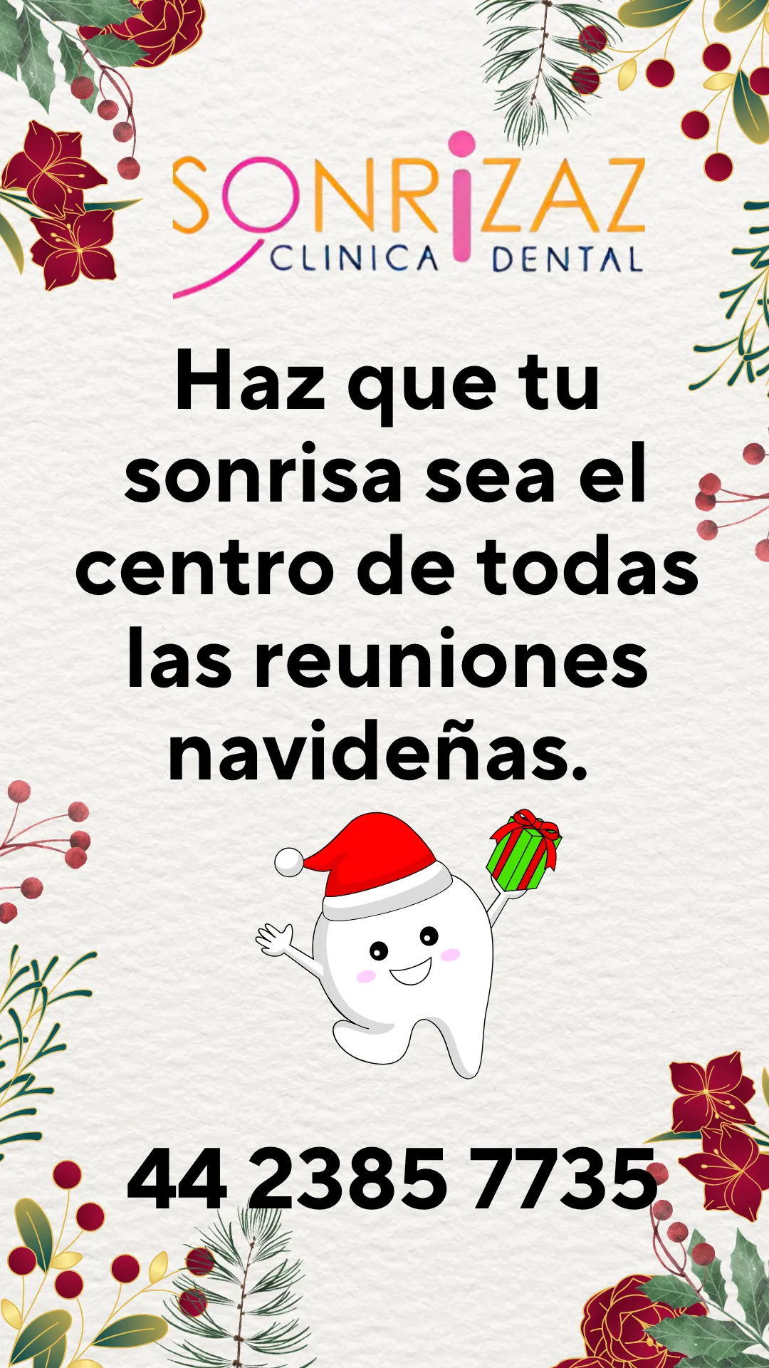 Diseño 41