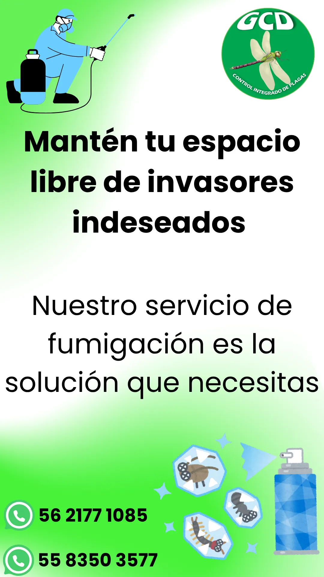 Diseño 65
