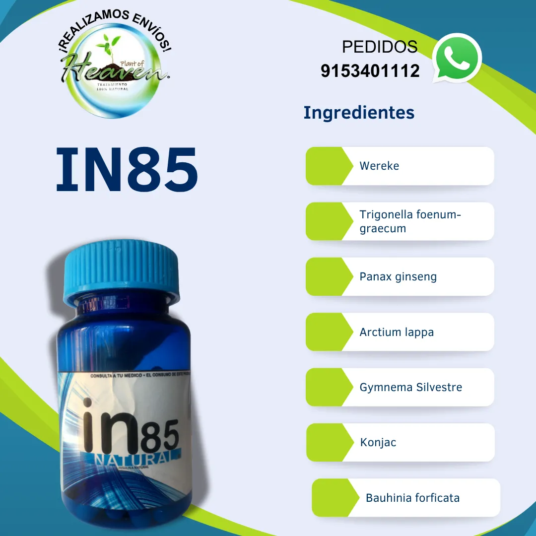 Diseño 10