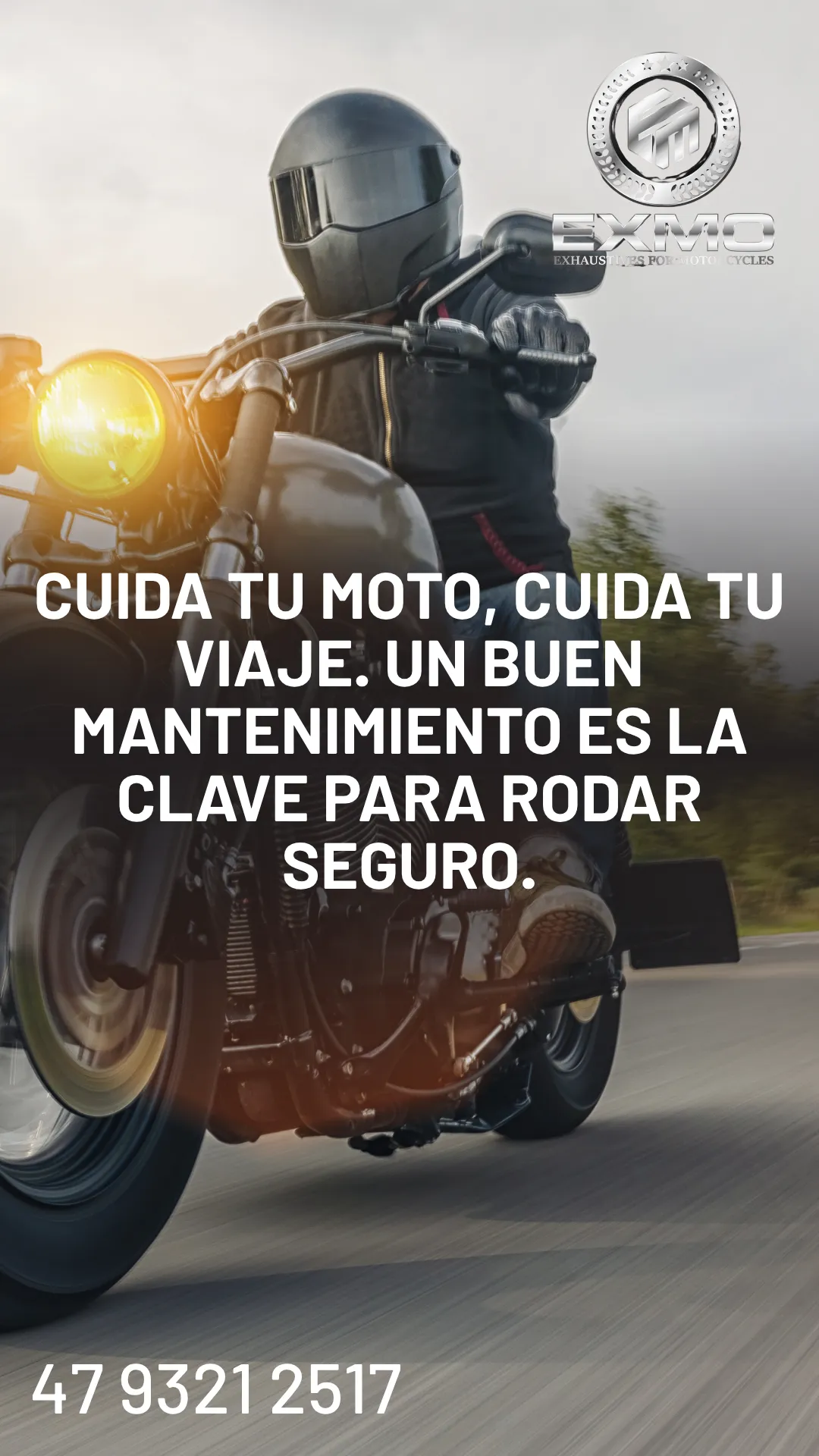 Diseño 8
