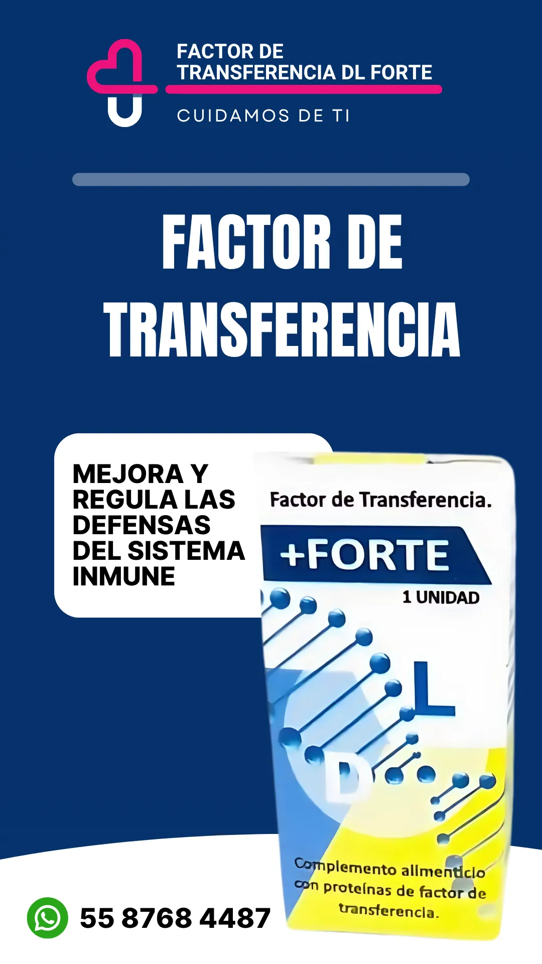Diseño 3