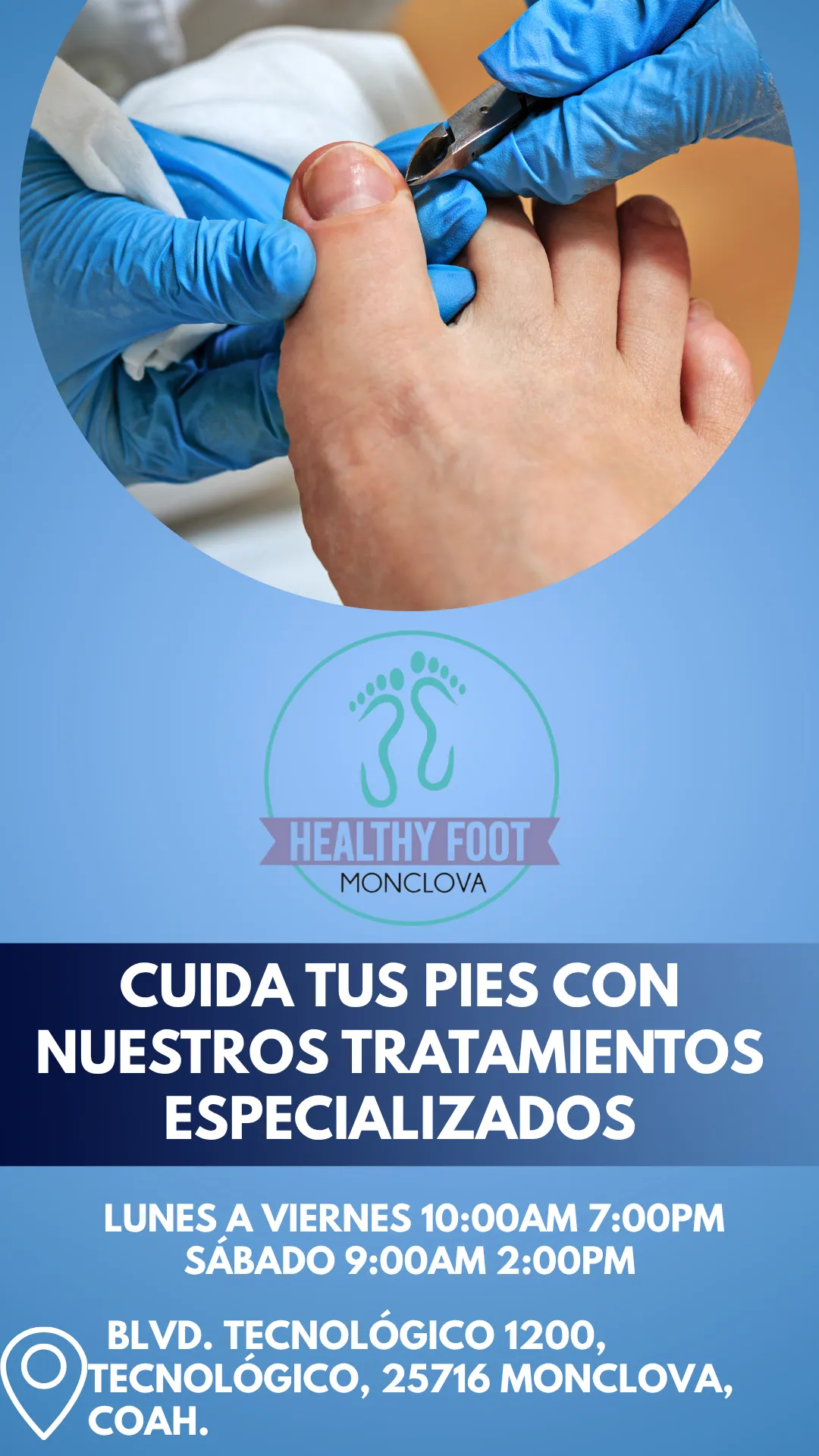 Diseño 113