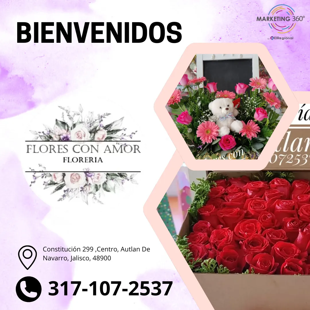 Diseño 17