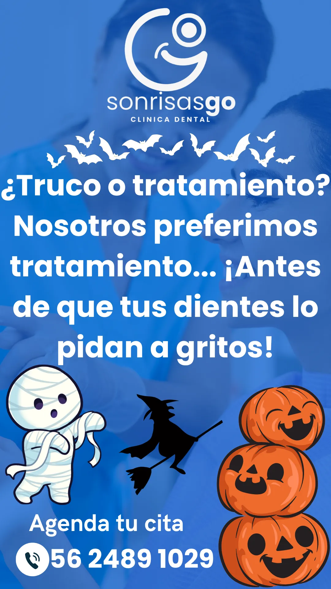 Diseño 135