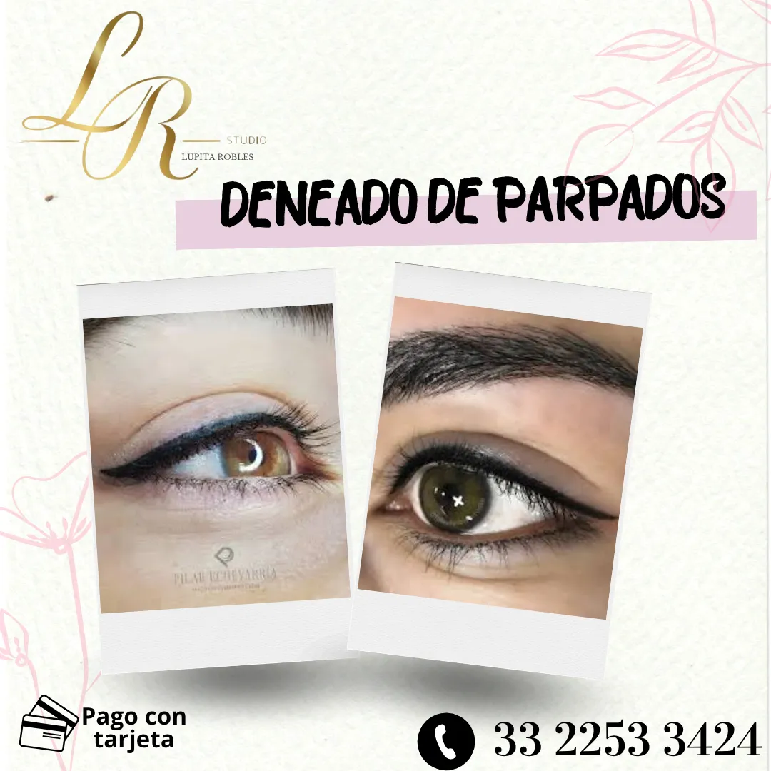 Diseño 81