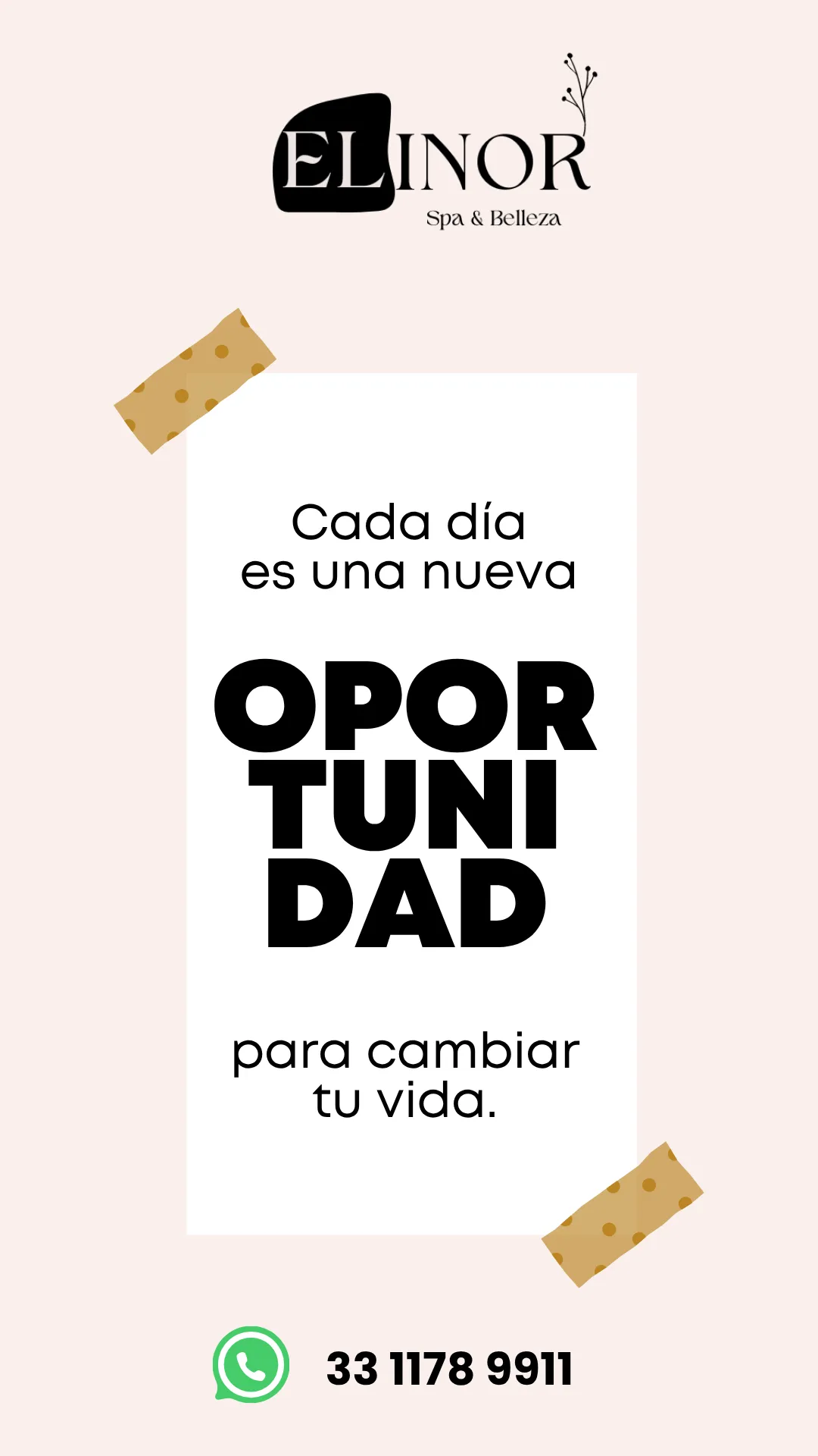 Diseño 77