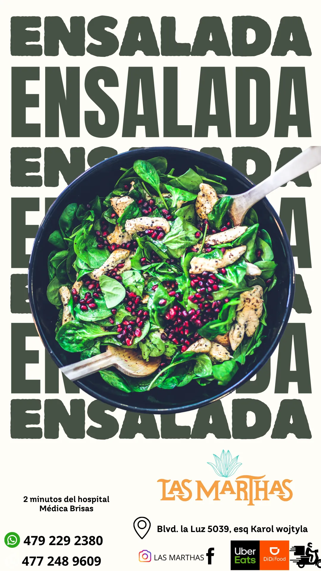 Diseño 3