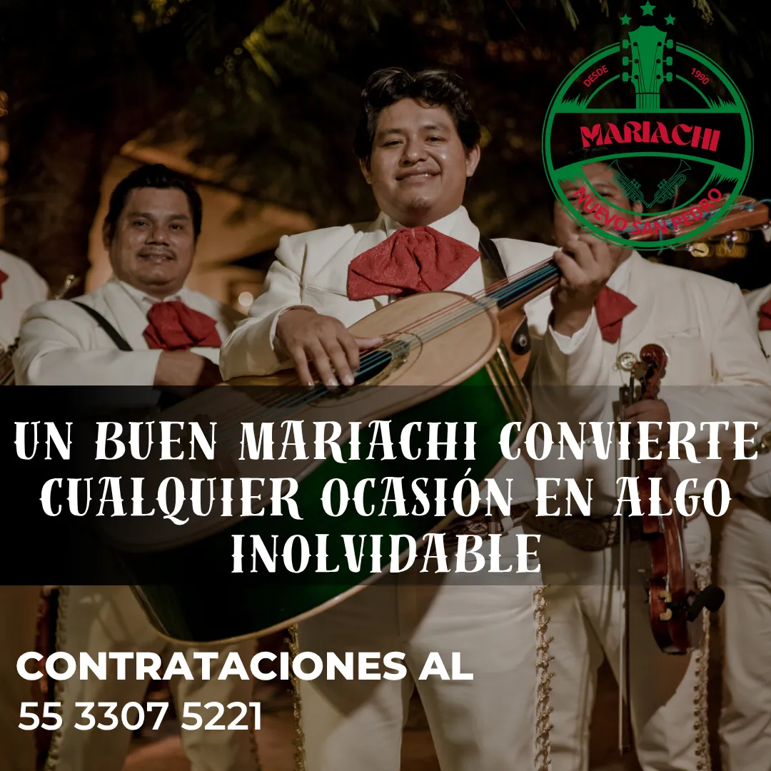 Diseño 65