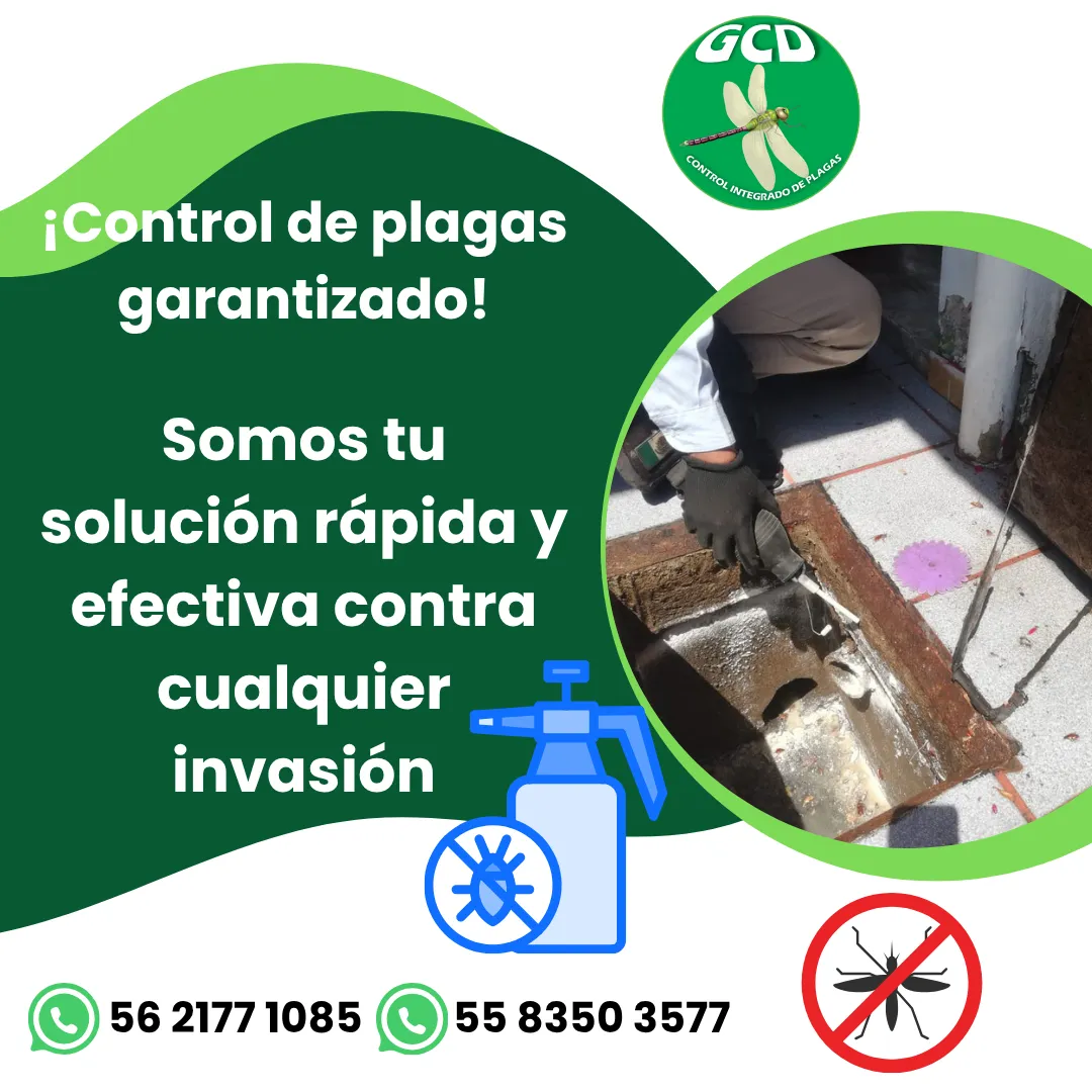 Diseño 101
