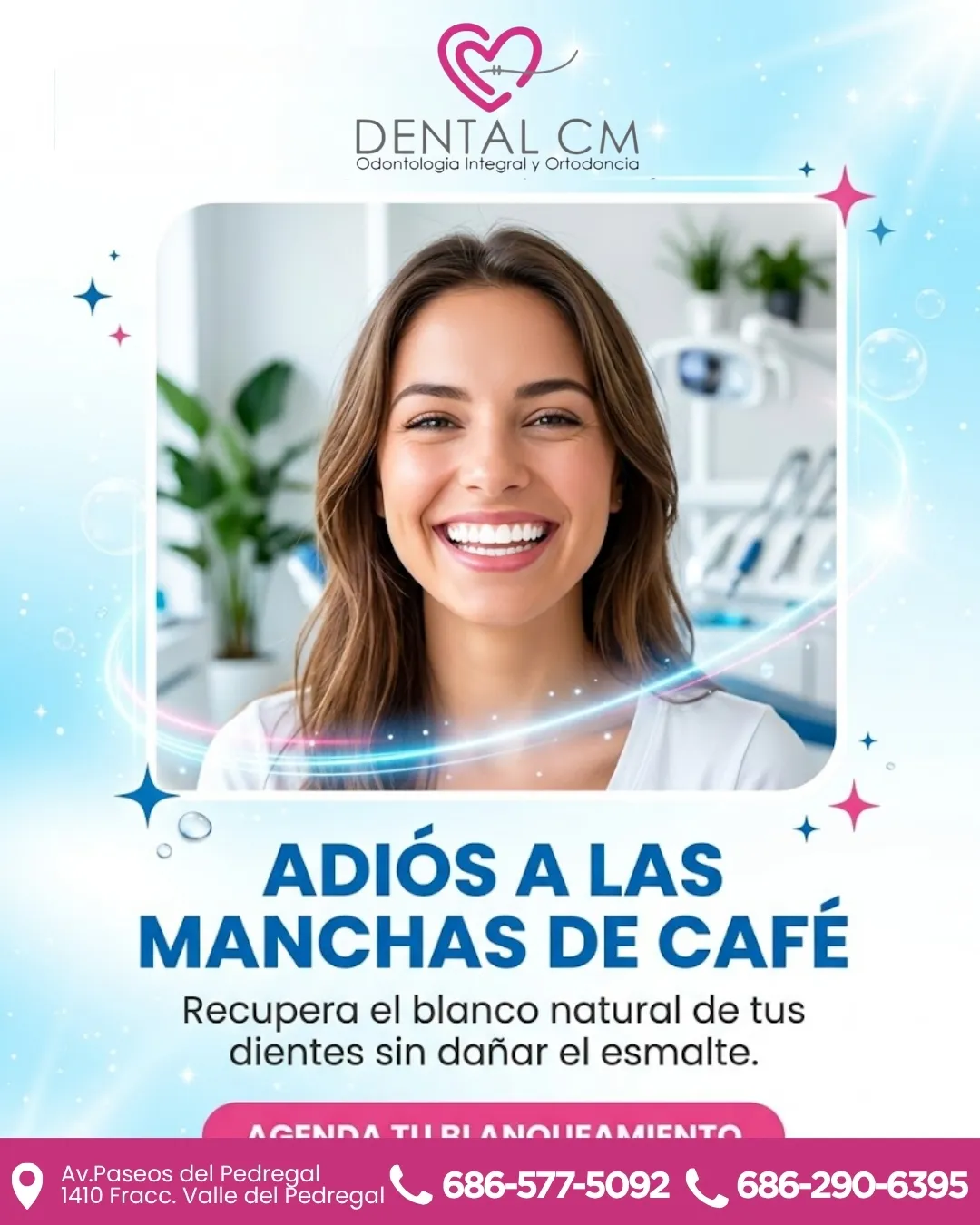 Diseño 110