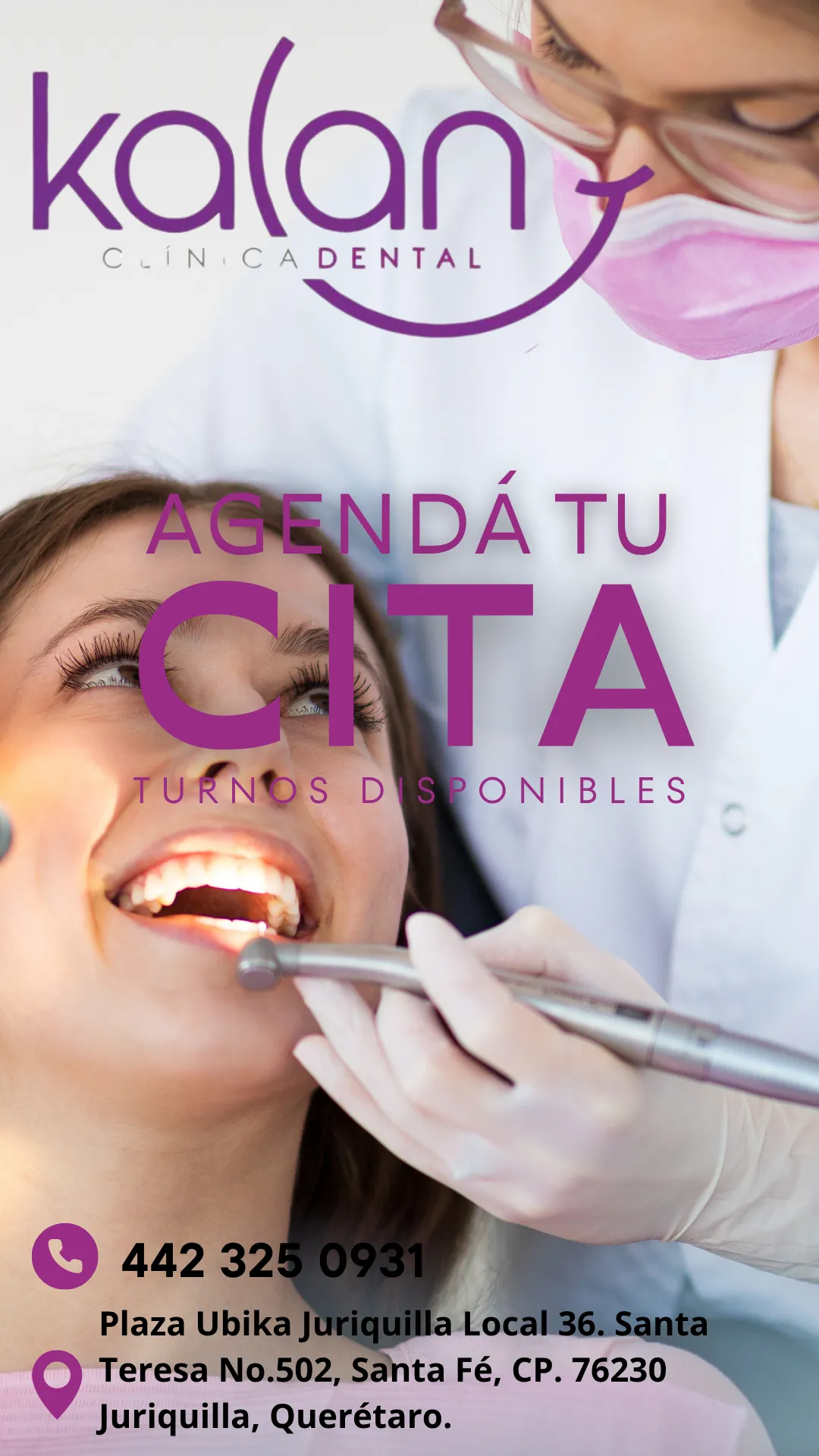 Diseño 130