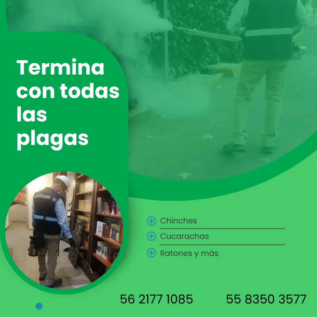 Diseño 14