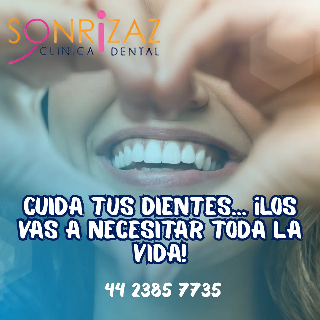 Diseño 29