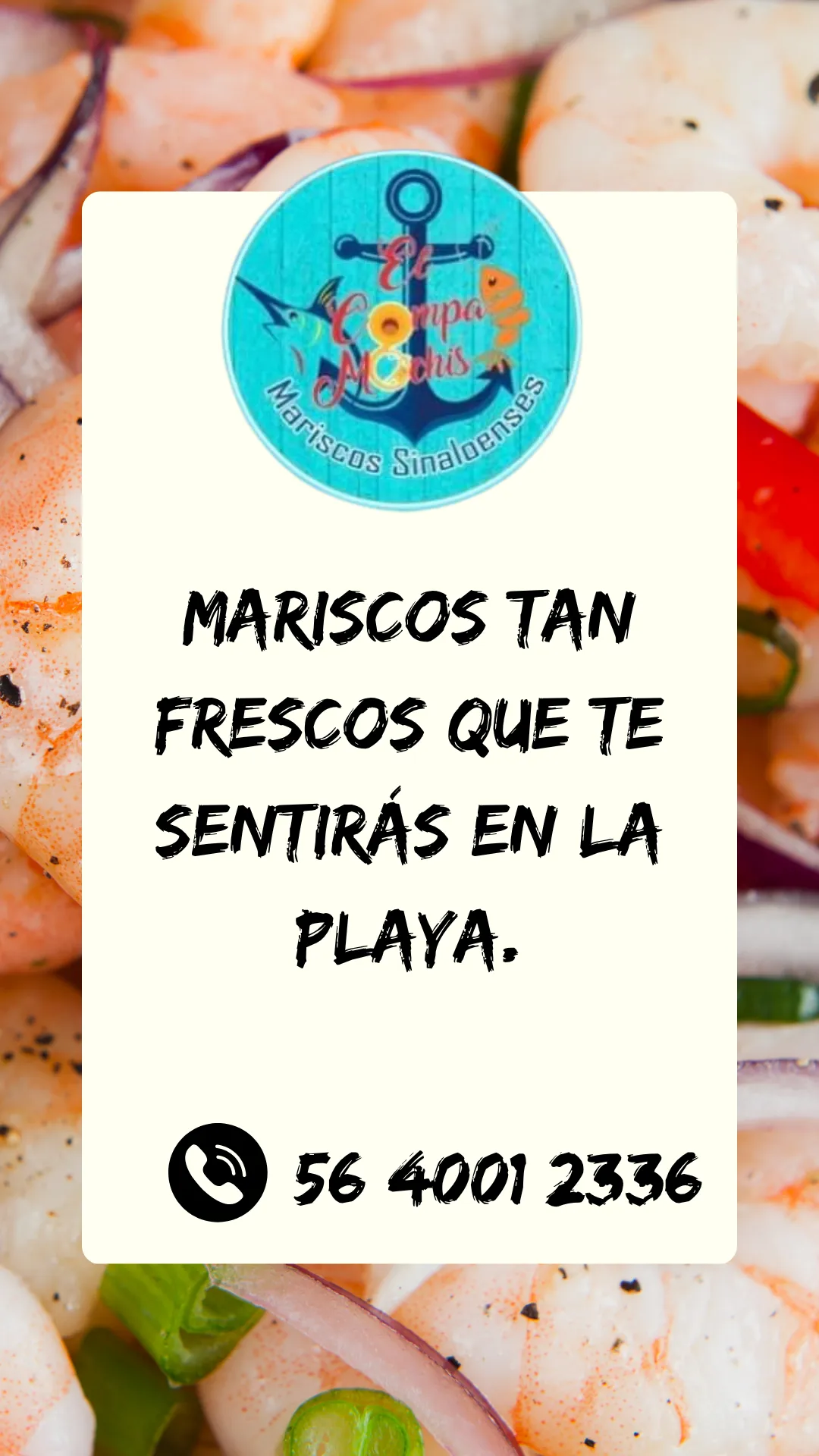 Diseño 13