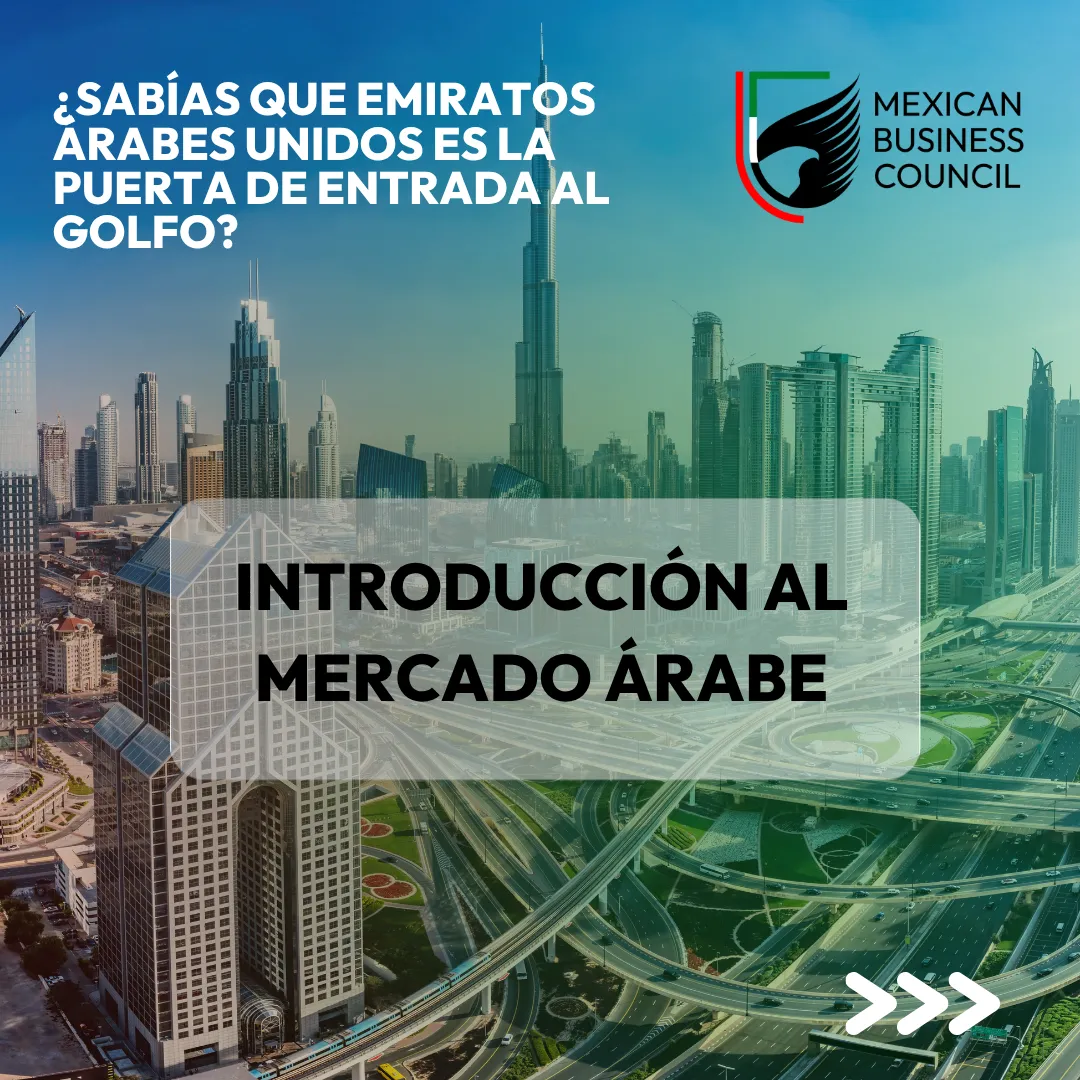 Diseño 7