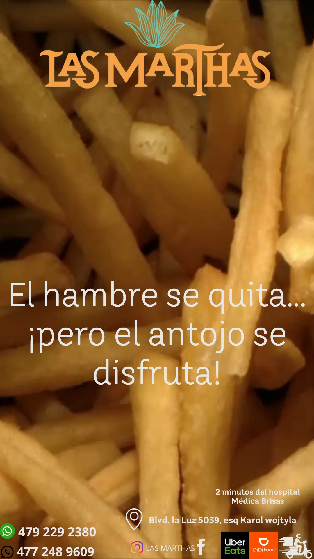 Diseño 47