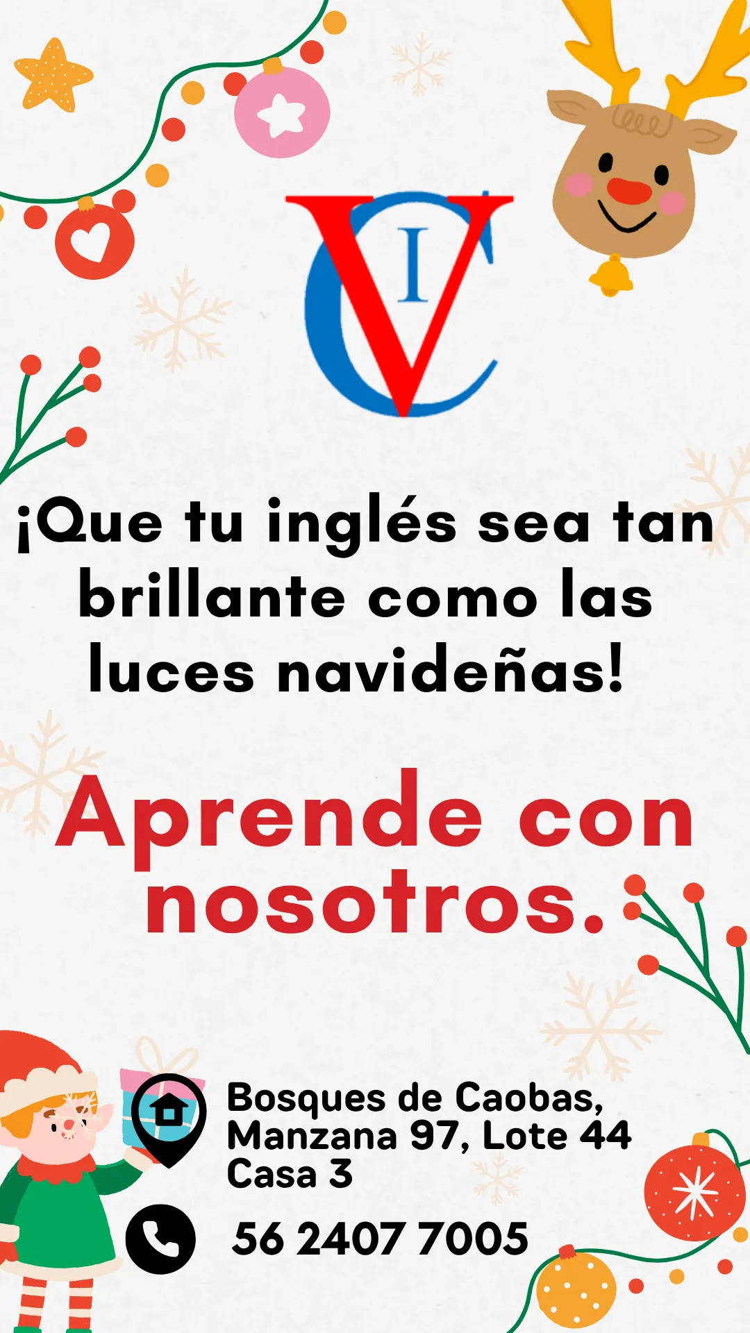 Diseño 95