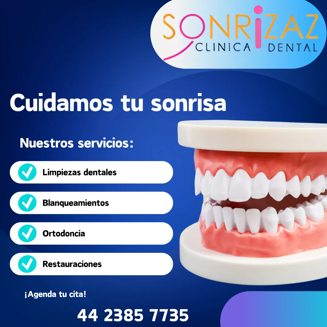 Diseño 31