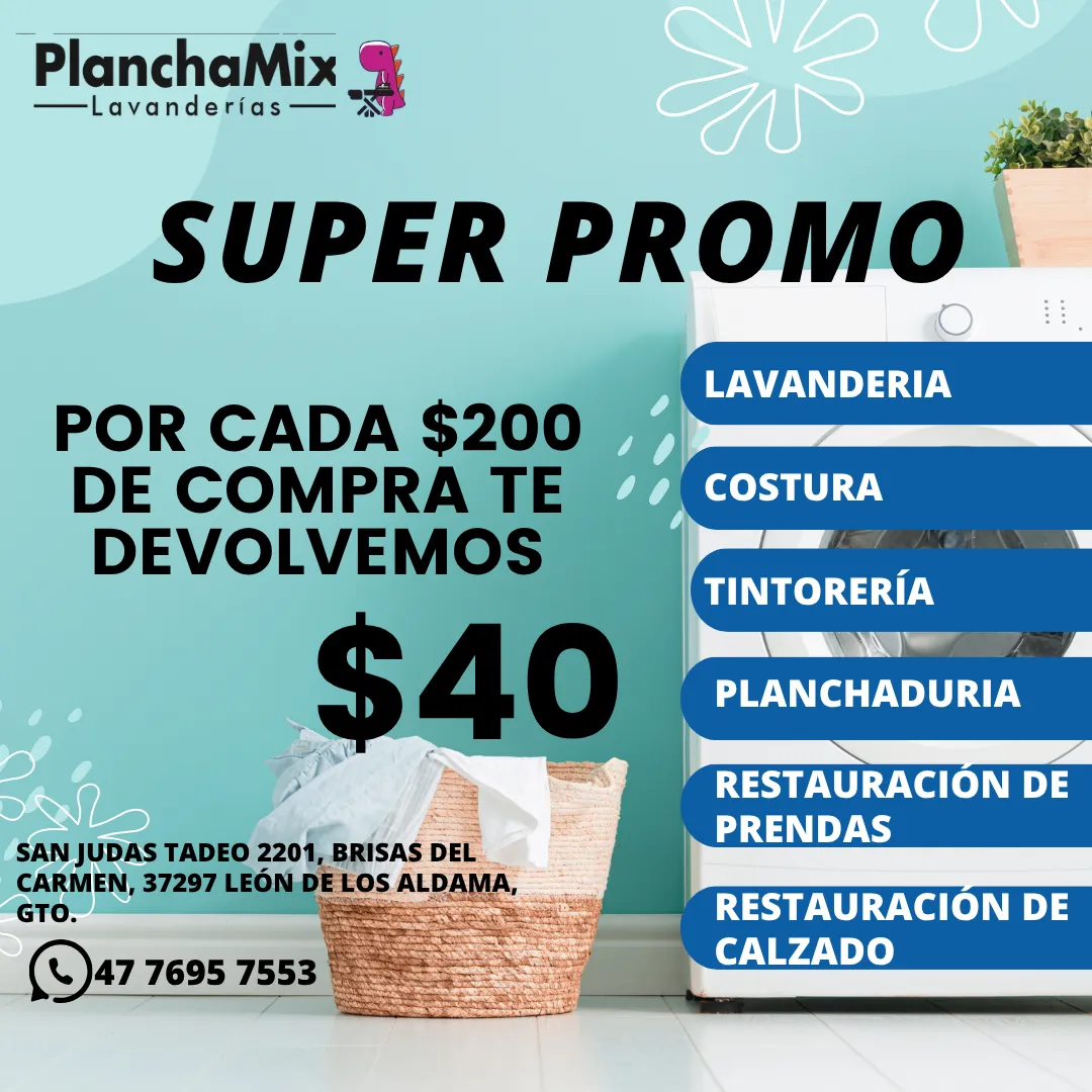 Diseño 51