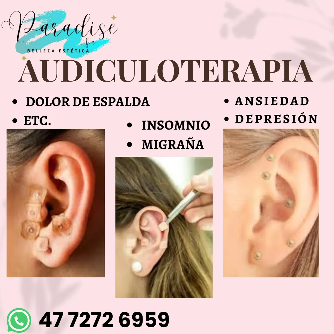 Diseño 96
