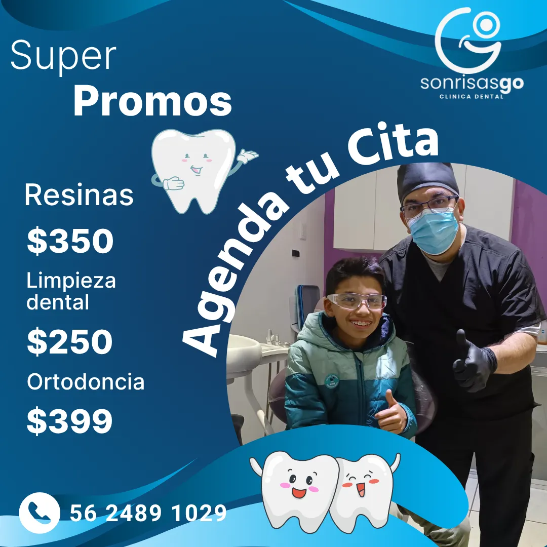 Diseño 97
