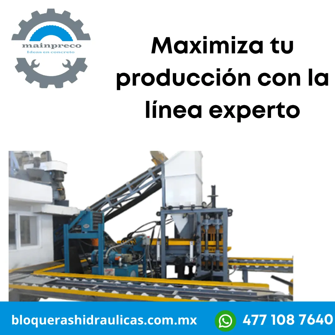 Diseño 113