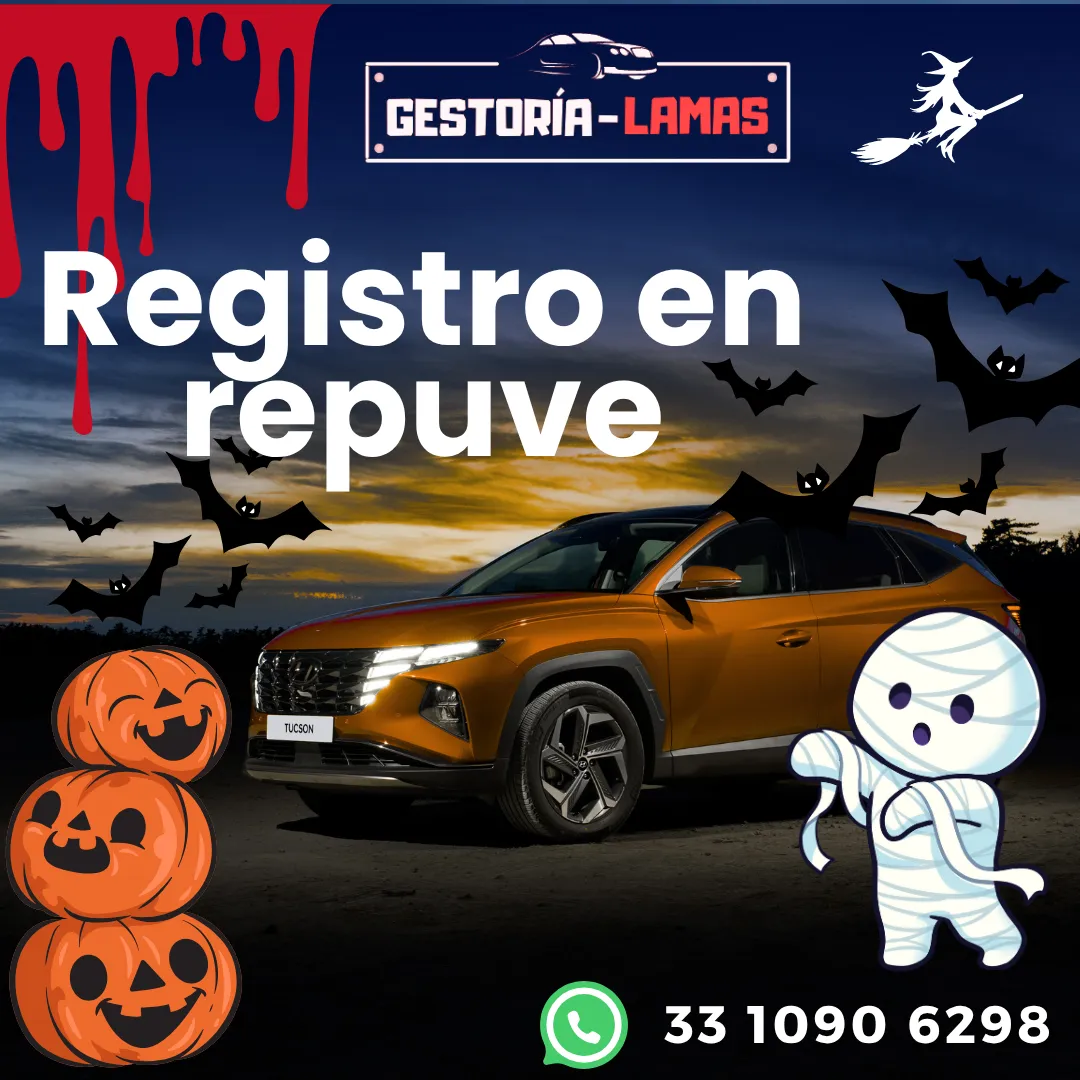 Diseño 141