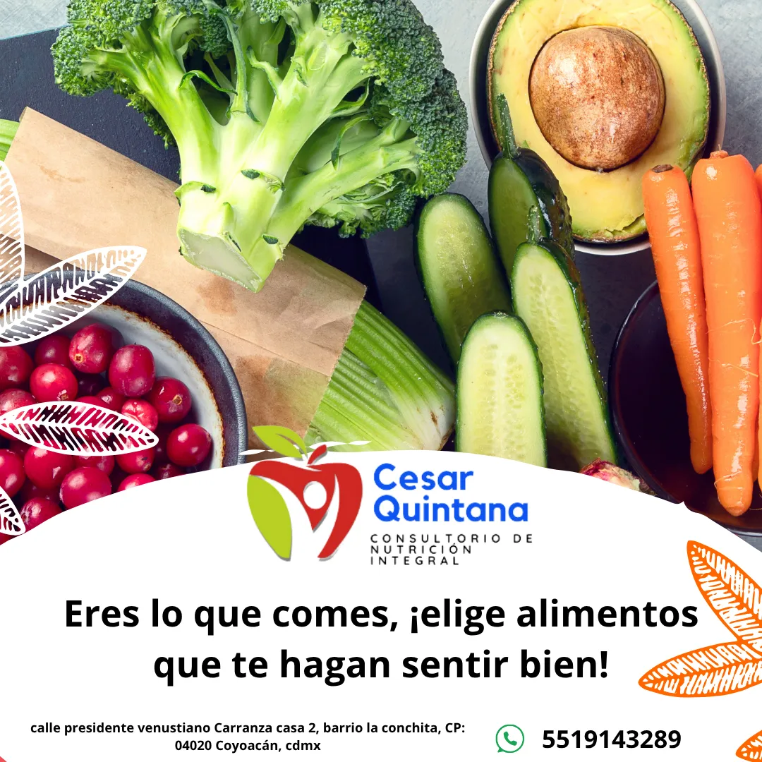 Diseño 13