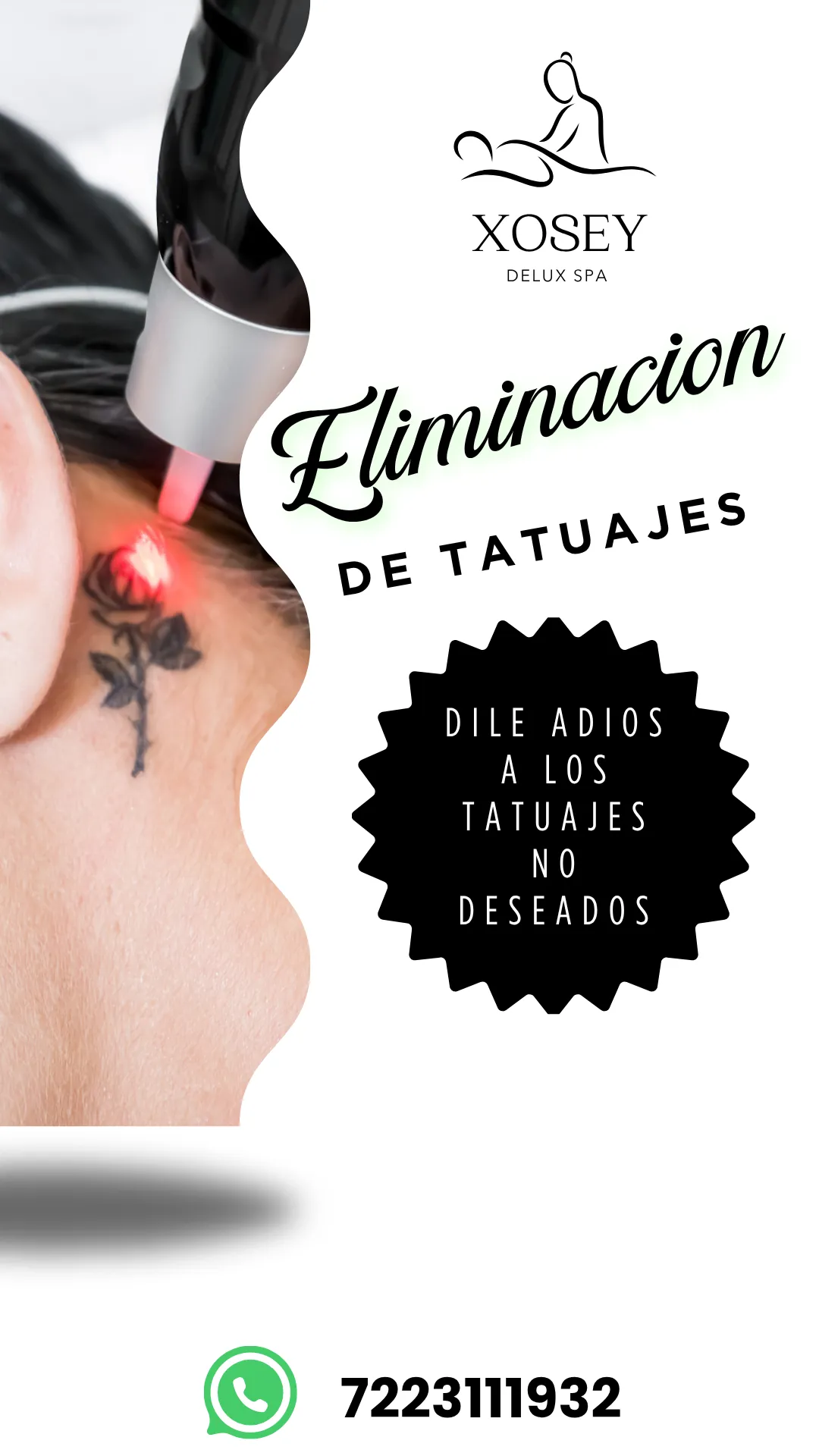 Diseño 5